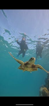 宮古島 ADVENTURE PiPi（ミヤコジマ アドベンチャー ピピ）に投稿された画像（2023/12/1）