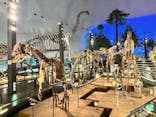 福井県立恐竜博物館に投稿された画像（2023/12/2）