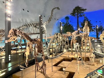 福井県立恐竜博物館に投稿された画像（2023/12/1）