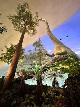 福井県立恐竜博物館に投稿された画像（2023/12/1）