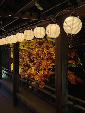 NAKEDヨルモウデ2022平安神宮に投稿された画像（2022/11/22）