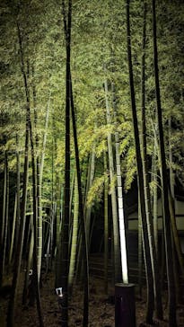 三溪園に投稿された画像（2023/12/1）