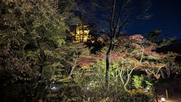 三溪園に投稿された画像（2023/12/1）