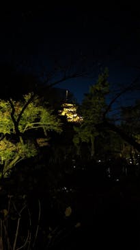 三溪園に投稿された画像（2023/12/1）