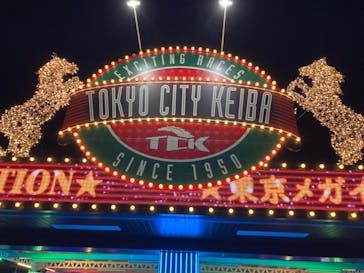 東京メガイルミに投稿された画像（2023/12/1）