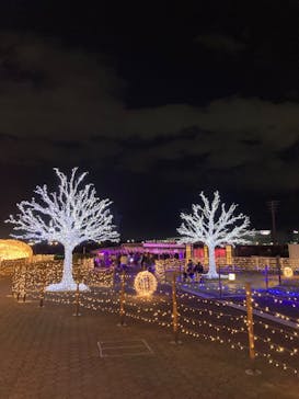 東京メガイルミに投稿された画像（2023/12/1）