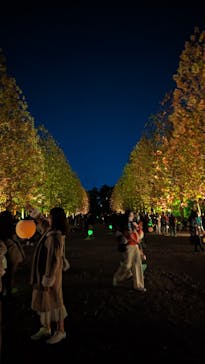 NAKED 紅葉の新宿御苑2023に投稿された画像（2023/12/1）