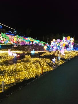 伊豆ぐらんぱる公園に投稿された画像（2023/12/1）