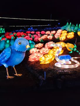 伊豆ぐらんぱる公園に投稿された画像（2023/12/1）