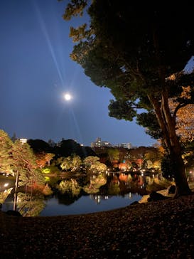 六義園に投稿された画像（2023/12/1）