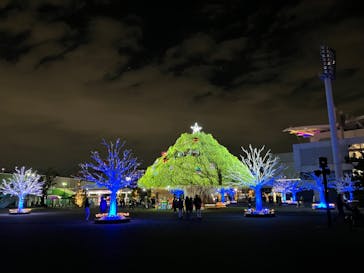 東京メガイルミに投稿された画像（2023/12/2）