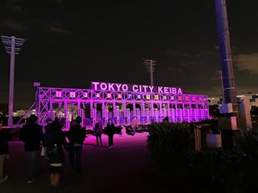 東京メガイルミに投稿された画像（2023/12/2）