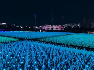 東京メガイルミに投稿された画像（2023/12/2）