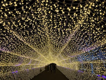 東京メガイルミに投稿された画像（2023/12/2）