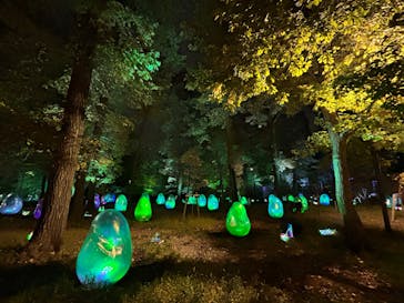 チームラボどんぐりの森の呼応する生命に投稿された画像（2023/12/2）