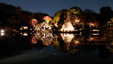 六義園に投稿された画像（2023/12/2）