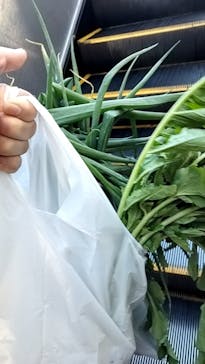 京阪電車に投稿された画像（2023/12/2）