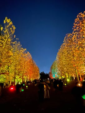 NAKED 紅葉の新宿御苑2023に投稿された画像（2023/12/2）