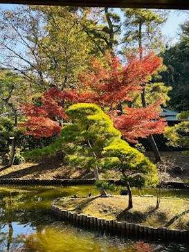 三溪園に投稿された画像（2023/12/2）