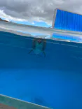 名古屋港水族館に投稿された画像（2023/12/2）