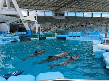 名古屋港水族館に投稿された画像（2023/12/2）