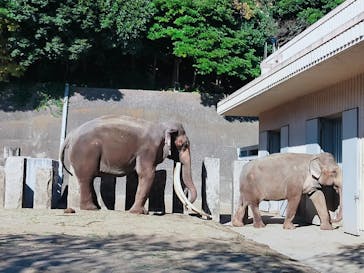 横浜市立金沢動物園に投稿された画像（2023/12/2）