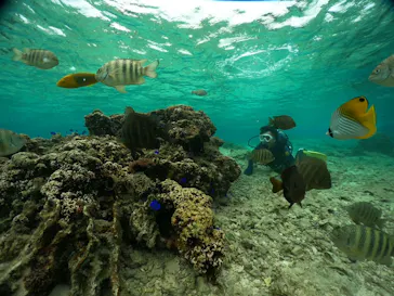 武藤潜水に投稿された画像（2023/12/2）