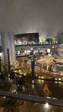 福井県立恐竜博物館に投稿された画像（2023/12/2）