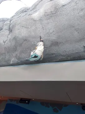 天王寺動物園に投稿された画像（2023/12/2）