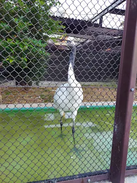 天王寺動物園に投稿された画像（2023/12/2）