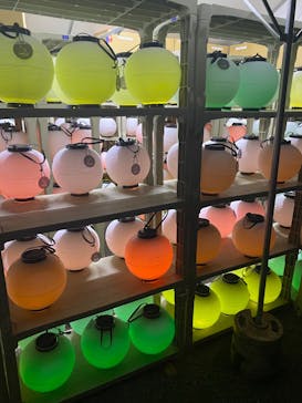 NAKED 紅葉の新宿御苑2023に投稿された画像（2023/12/2）