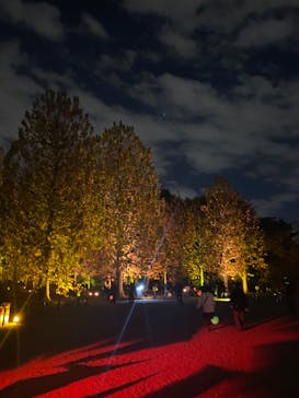 NAKED 紅葉の新宿御苑2023に投稿された画像（2023/12/2）