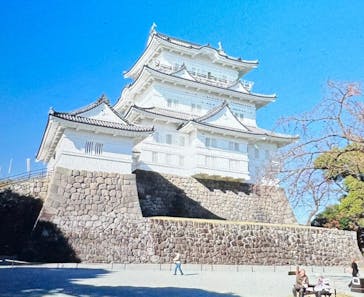 小田原城に投稿された画像（2023/12/2）