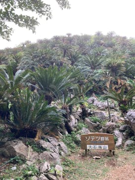 アスムイハイクスに投稿された画像（2023/12/2）