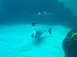 名古屋港水族館に投稿された画像（2023/12/2）