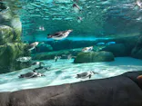 天王寺動物園に投稿された画像（2023/12/2）