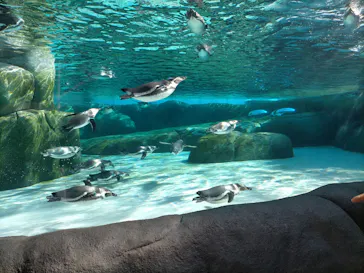 天王寺動物園に投稿された画像（2023/12/2）