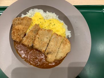 福井県立恐竜博物館に投稿された画像（2023/12/2）