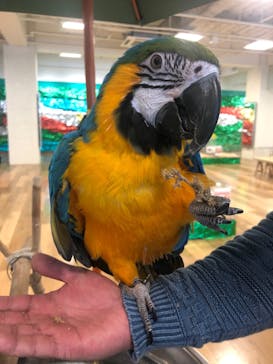 いきもの探検隊湘南に投稿された画像（2023/12/2）