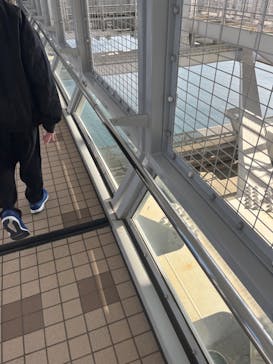 徳島県立 渦の道に投稿された画像（2023/12/2）