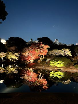 六義園に投稿された画像（2023/12/2）
