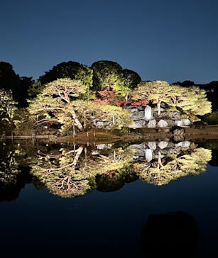 六義園に投稿された画像（2023/12/2）