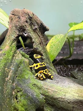 名古屋市東山動植物園に投稿された画像（2023/12/2）