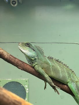 名古屋市東山動植物園に投稿された画像（2023/12/2）