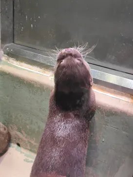 マクセル アクアパーク品川に投稿された画像（2023/12/2）