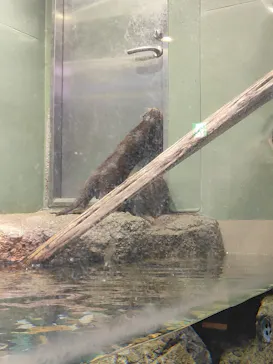 マクセル アクアパーク品川に投稿された画像（2023/12/2）