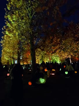 NAKED 紅葉の新宿御苑2023に投稿された画像（2023/12/2）