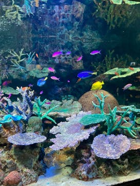 サンシャイン水族館に投稿された画像（2023/12/2）