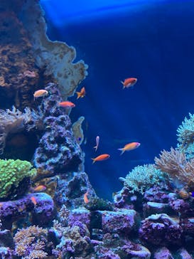 サンシャイン水族館に投稿された画像（2023/12/2）