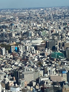 サンシャイン60展望台に投稿された画像（2023/12/2）